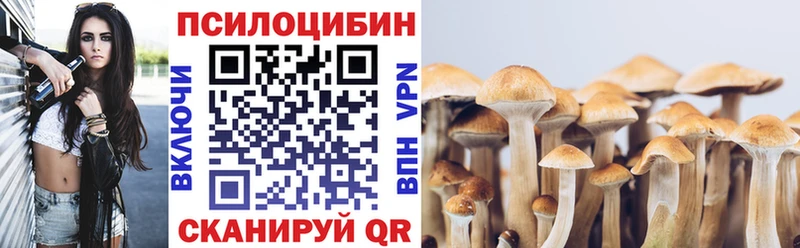 Псилоцибиновые грибы Cubensis  Купить где  Волгореченск 