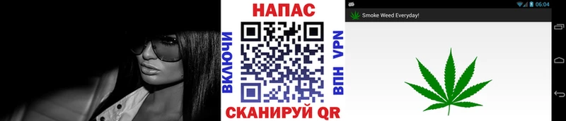 Бошки Шишки план Волгореченск